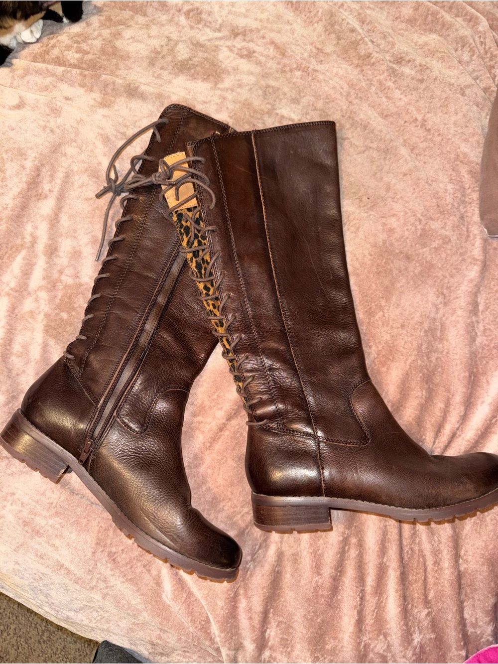 Sofft Women's Tall Lace-Up Riding Boots - Dark Brown